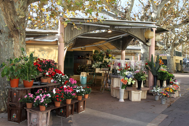 khu cho 2 - Các khu chợ nổi tiếng dành cho người yêu hoa