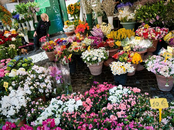 khu cho 5 - Các khu chợ nổi tiếng dành cho người yêu hoa