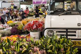 khu cho 6 - Các khu chợ nổi tiếng dành cho người yêu hoa