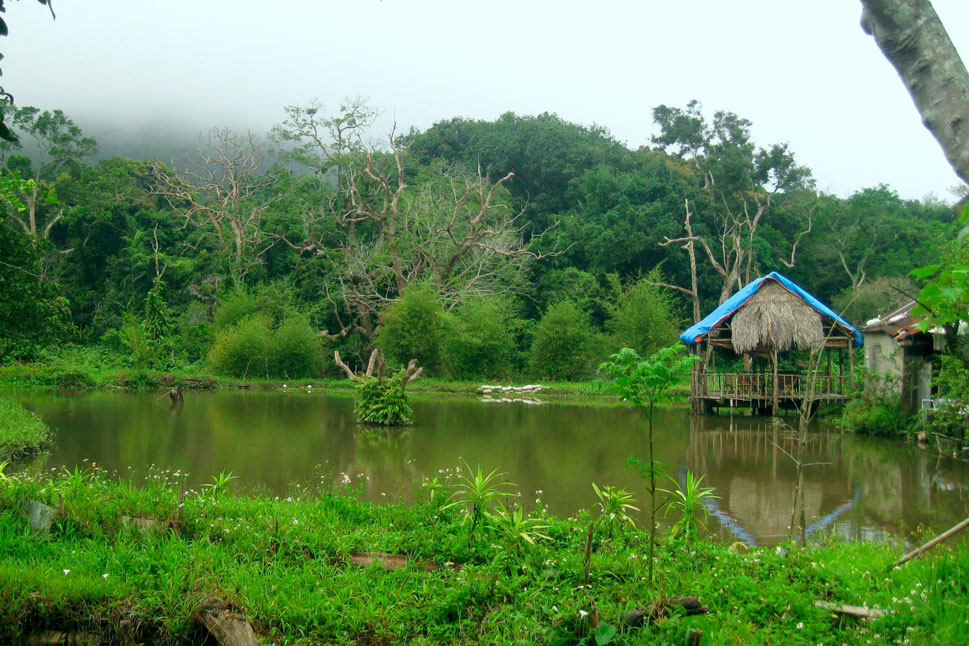 Top 10 địa điểm mới nhất ở Đà Nẵng 2020 nên ghé nhat lam thuy trang tra son tra da nang - Top 10 địa điểm mới nhất ở Đà Nẵng 2020 nên ghé