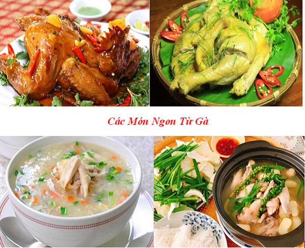 hinh mo bai cac mon ngon tu ga - Top 16 các món ngon từ gà – Tuyệt chiêu chế biến đơn giản